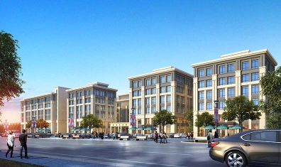 麻豆一区精品麻豆成人网在线观看